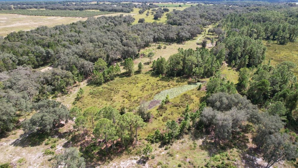 Lake Hatchineha Road Residential: 9500 Lake Hatchineha Rd, Haines City, FL 33844